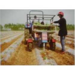 3-BIGDEL Sebze fide dikim makinesi 6 sıralı traktöre takılan model